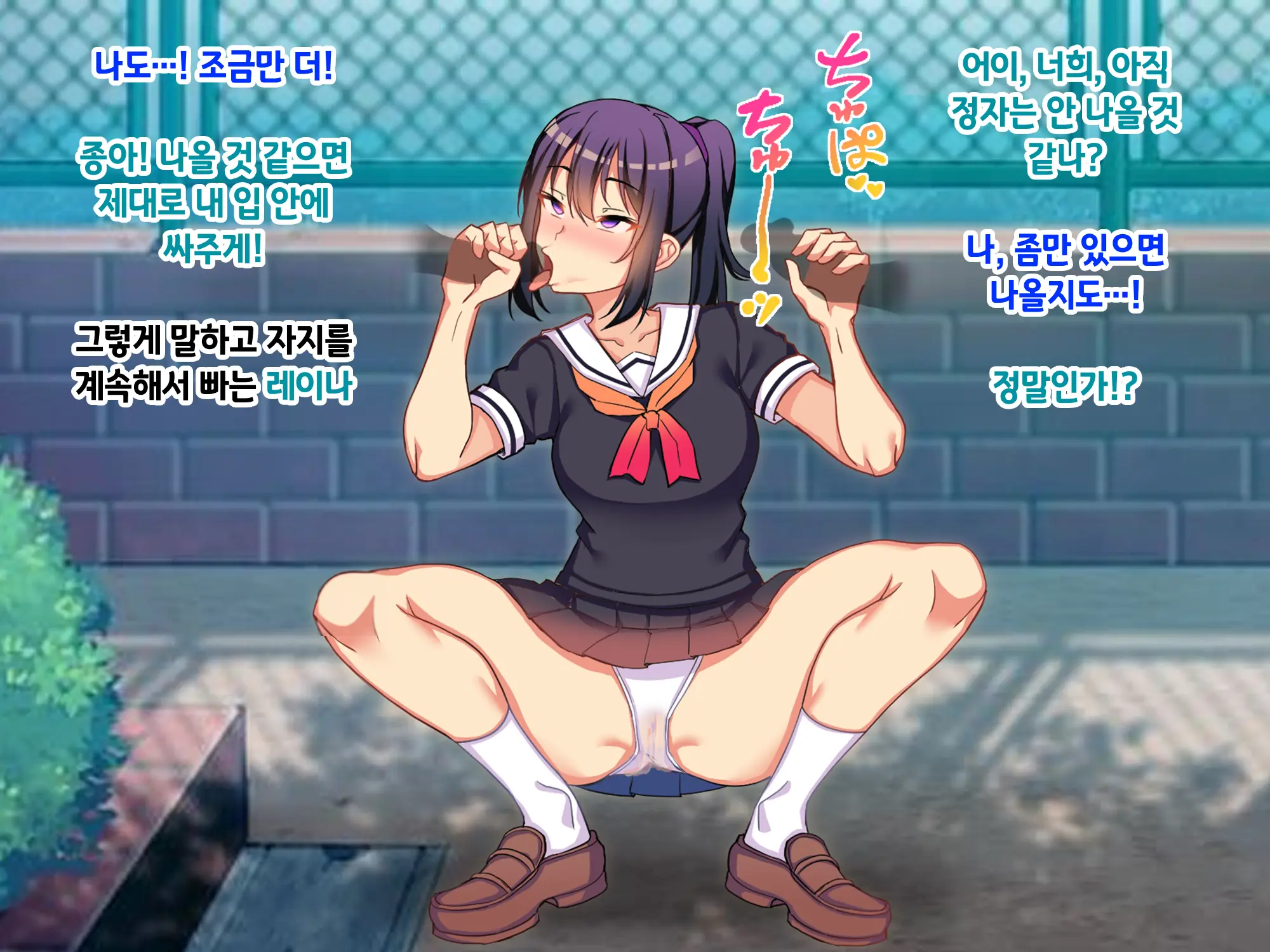 Sou Seisen Hime Holy Knights, Sennou Kaizou Songen Hakai, Seigi No Henshin Hiroin Ga Ganimata Pose De Machi O Osou Hentai Buzama Kaijin Ni Naru Made